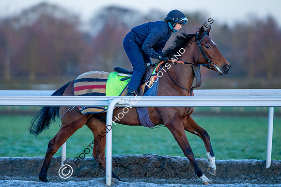 Newmarket Gallops