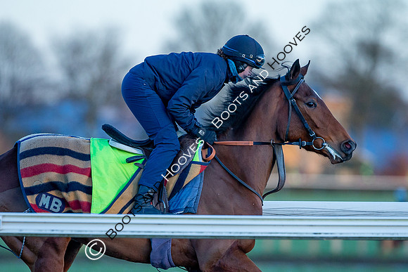 Newmarket Gallops