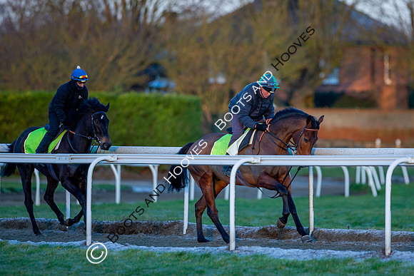 Newmarket Gallops