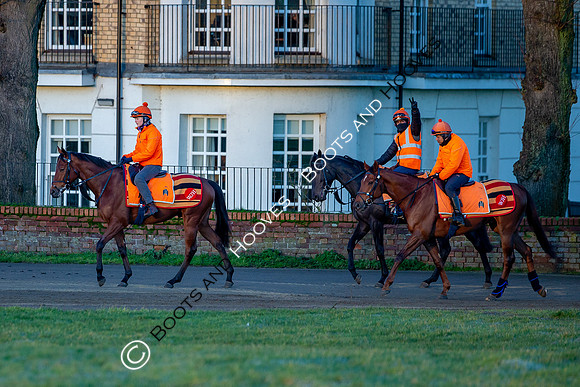 Newmarket Gallops