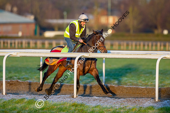 Newmarket Gallops