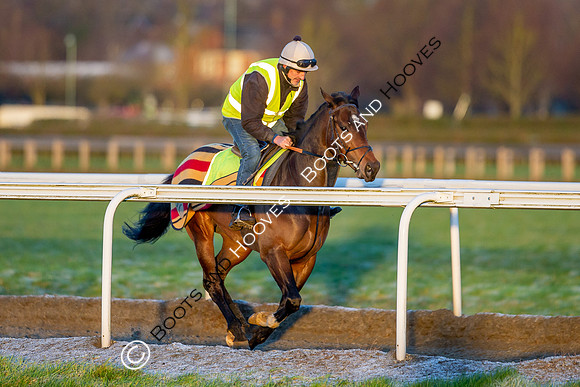 Newmarket Gallops