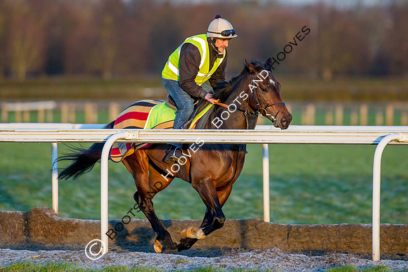 Newmarket Gallops