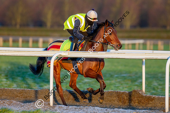 Newmarket Gallops