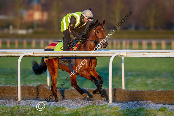 Newmarket Gallops