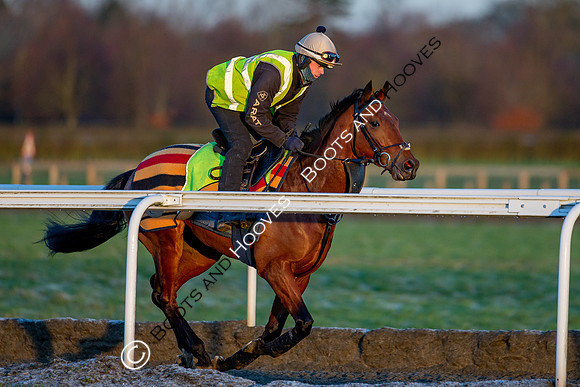Newmarket Gallops