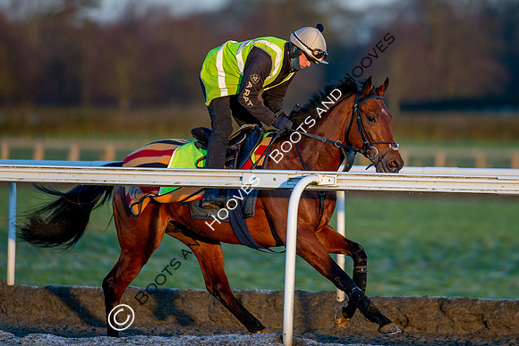 Newmarket Gallops