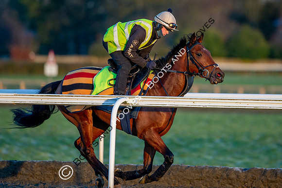 Newmarket Gallops