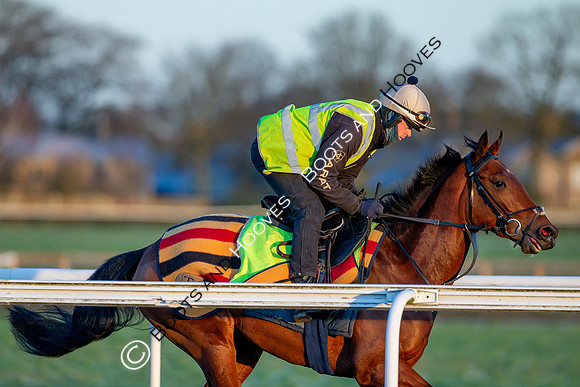 Newmarket Gallops