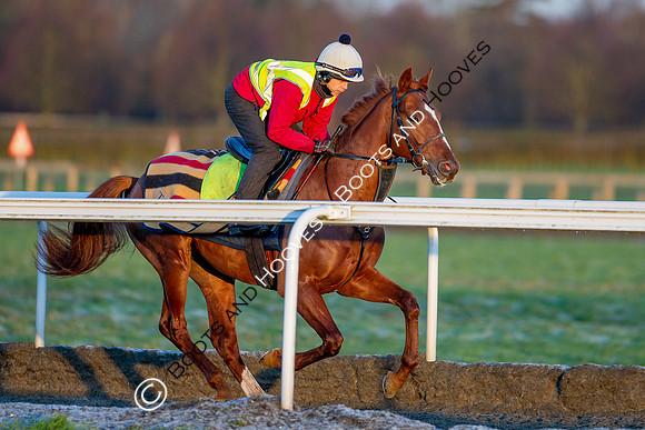 Newmarket Gallops