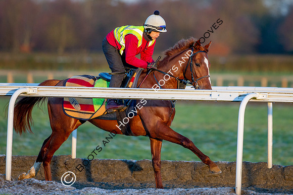 Newmarket Gallops