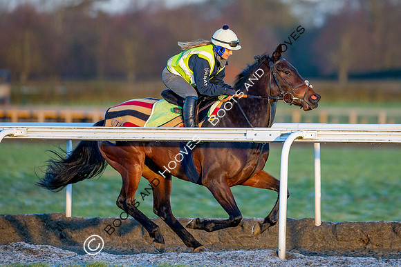 Newmarket Gallops