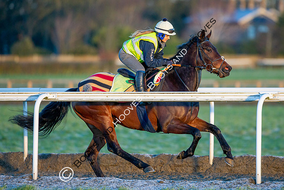 Newmarket Gallops