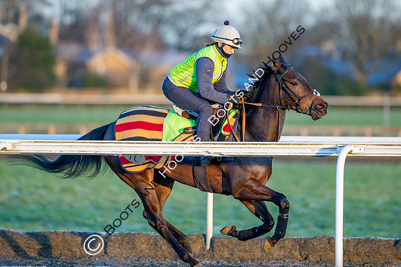 Newmarket Gallops