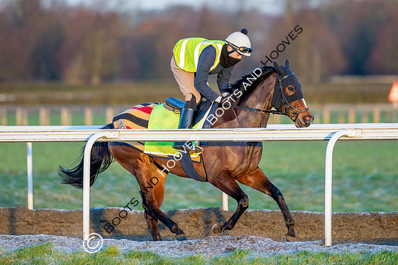 Newmarket Gallops