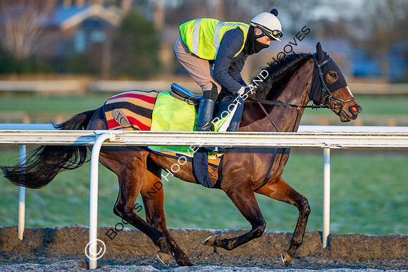 Newmarket Gallops