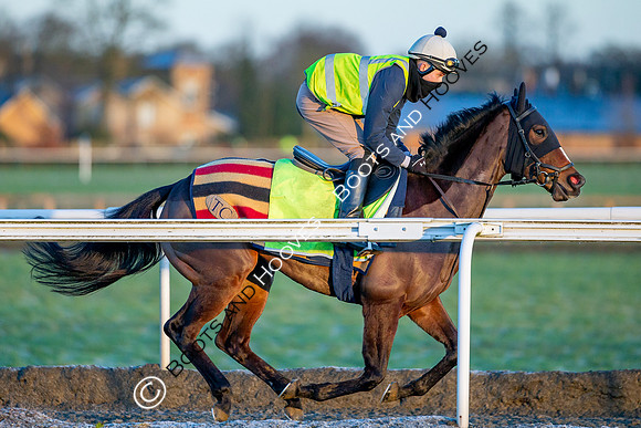 Newmarket Gallops