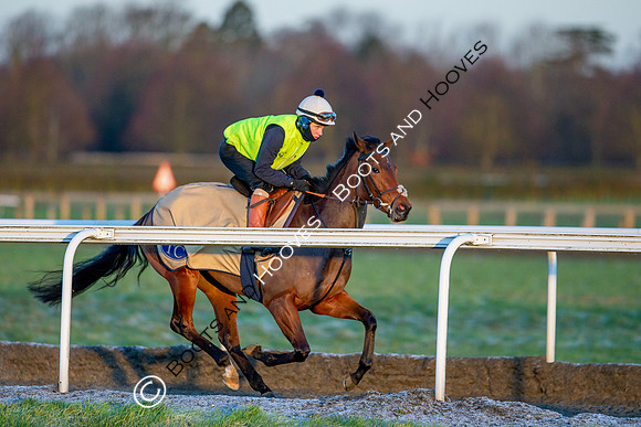 Newmarket Gallops