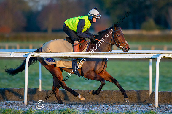 Newmarket Gallops