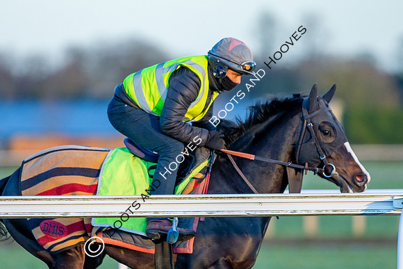 Newmarket Gallops