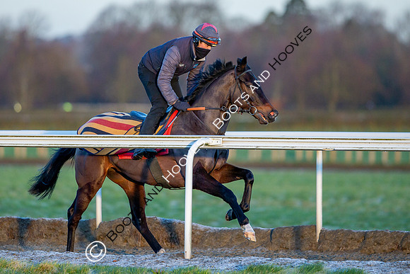 Newmarket Gallops