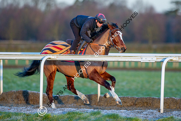 Newmarket Gallops