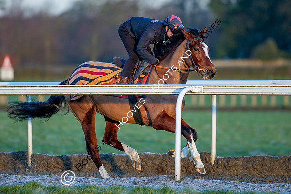 Newmarket Gallops