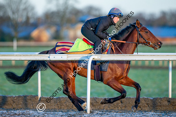 Newmarket Gallops