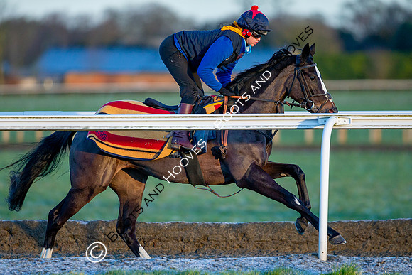 Newmarket Gallops