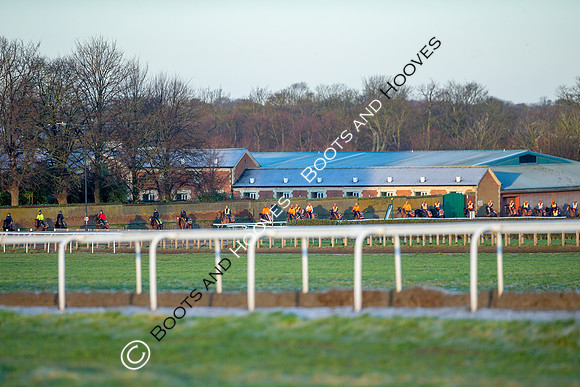 Newmarket Gallops
