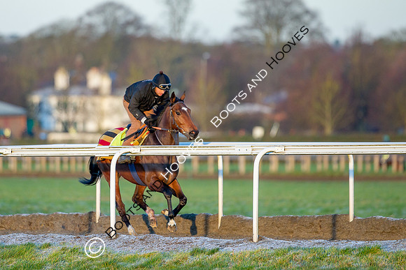Newmarket Gallops