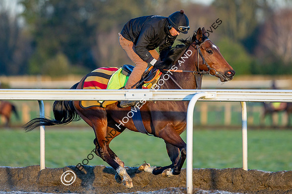 Newmarket Gallops
