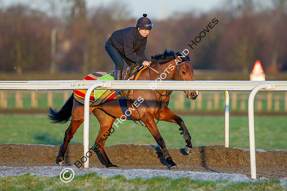 Newmarket Gallops
