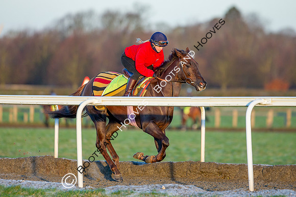 Newmarket Gallops
