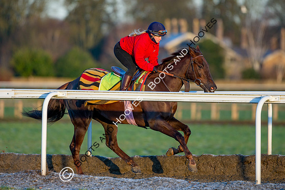 Newmarket Gallops