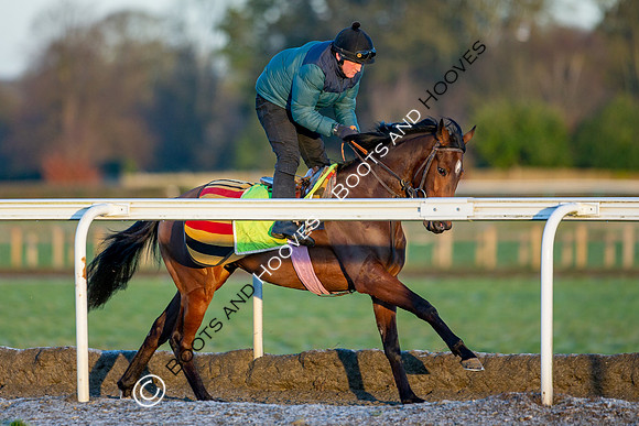 Newmarket Gallops