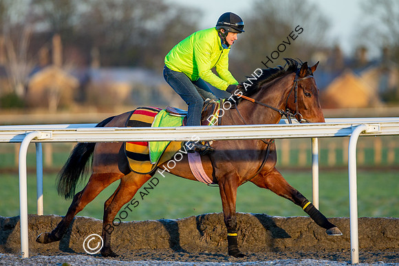 Newmarket Gallops