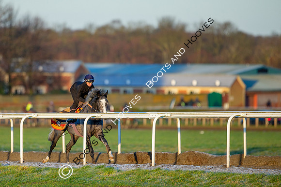 Newmarket Gallops