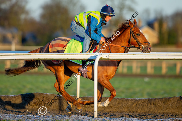 Newmarket Gallops