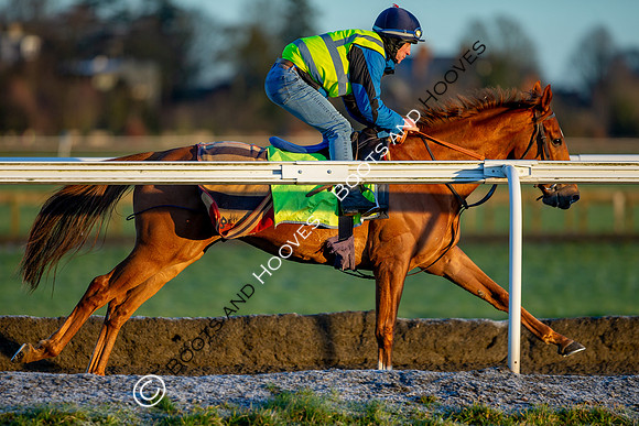 Newmarket Gallops