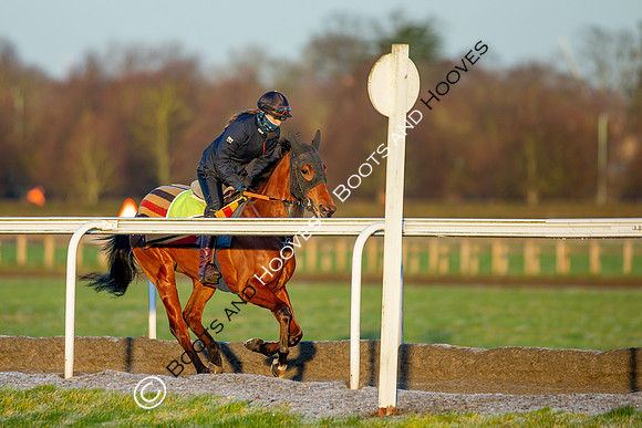 Newmarket Gallops