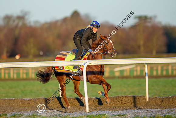 Newmarket Gallops