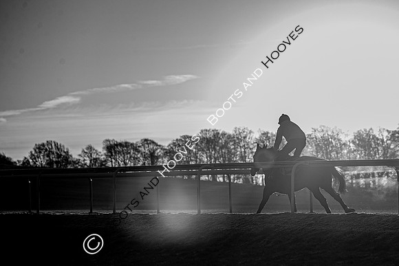 Newmarket Gallops