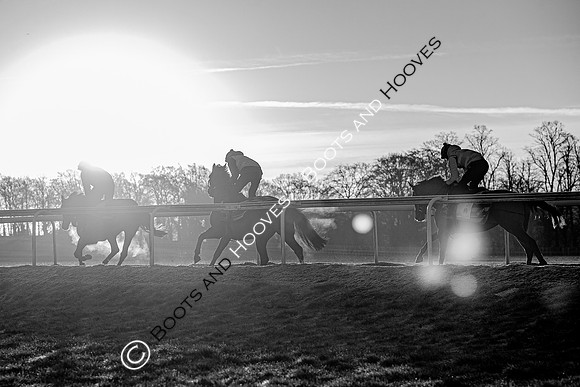 Newmarket Gallops