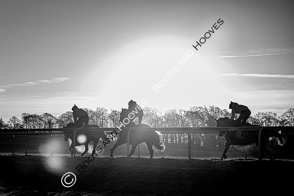Newmarket Gallops