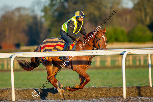 Newmarket Gallops