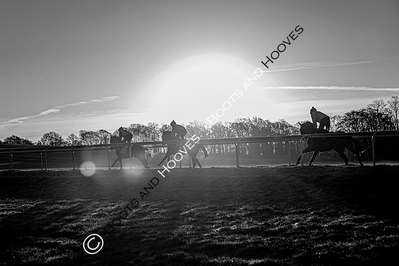 Newmarket Gallops