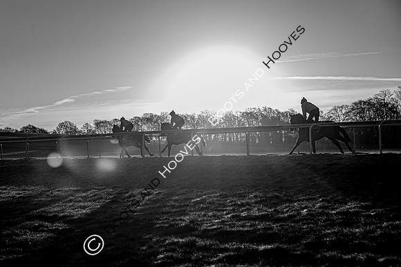 Newmarket Gallops