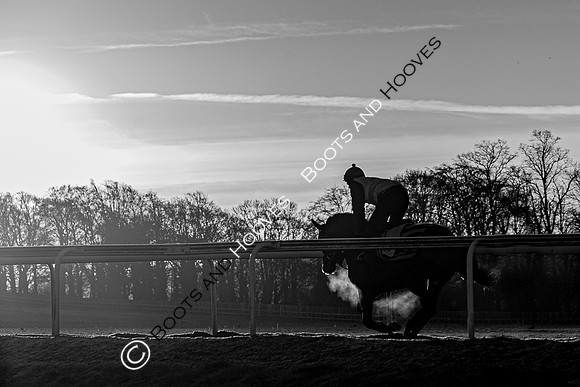 Newmarket Gallops