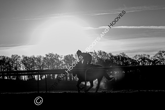 Newmarket Gallops